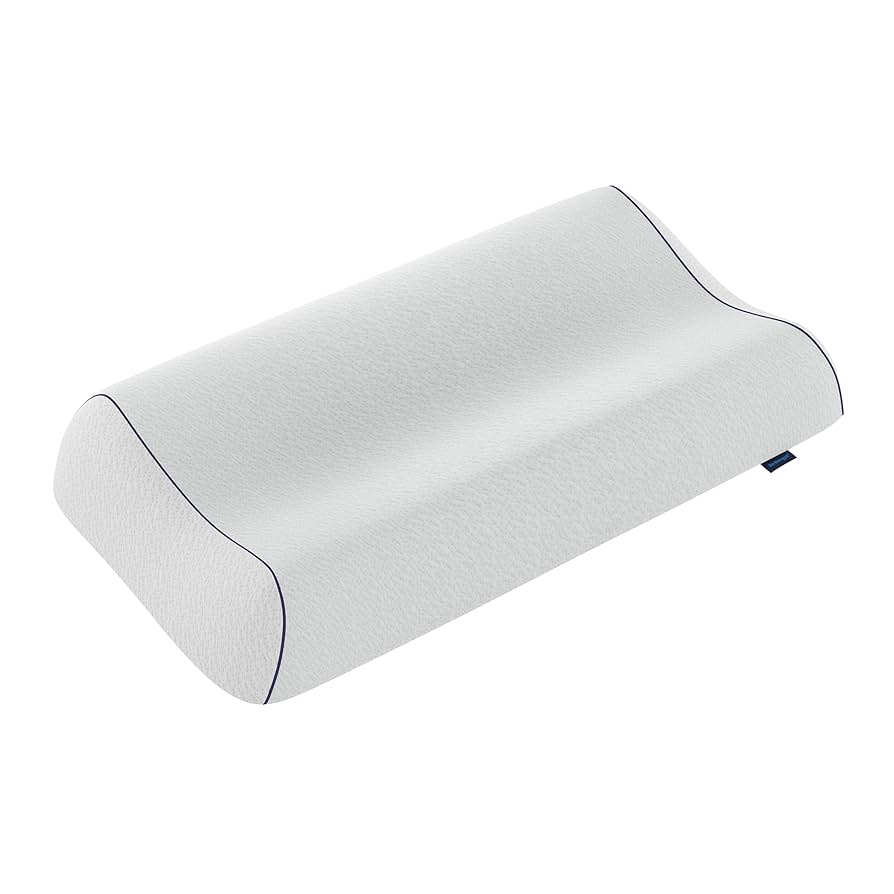 【しず】Technogel Anatomic Pillow9 Pillows – Technogel